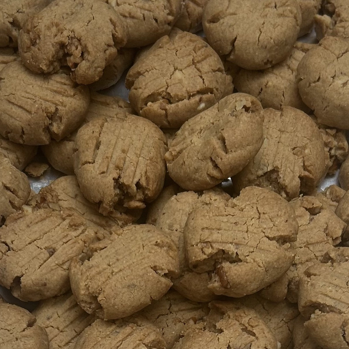 P’NUT PRODIGY [A GENIUS IN THE MAKING!]