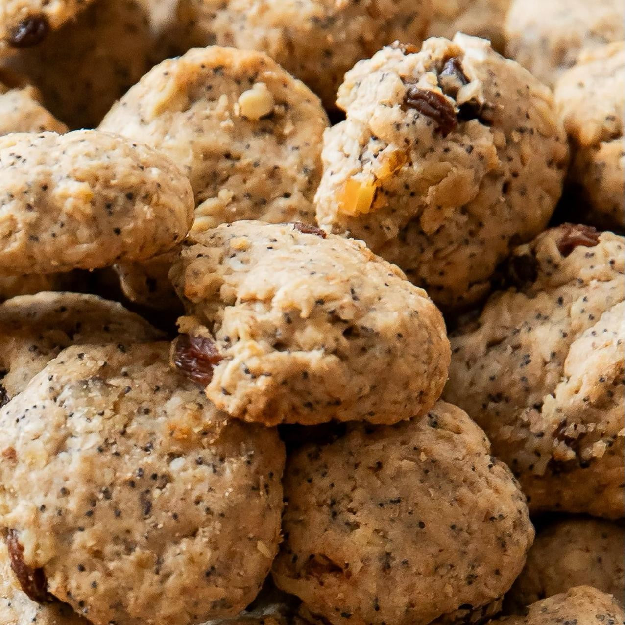 GLUTEN FREE THE ALL STAR POWERHOUSE COOKIE [GENIUS IN EVERY BITE]