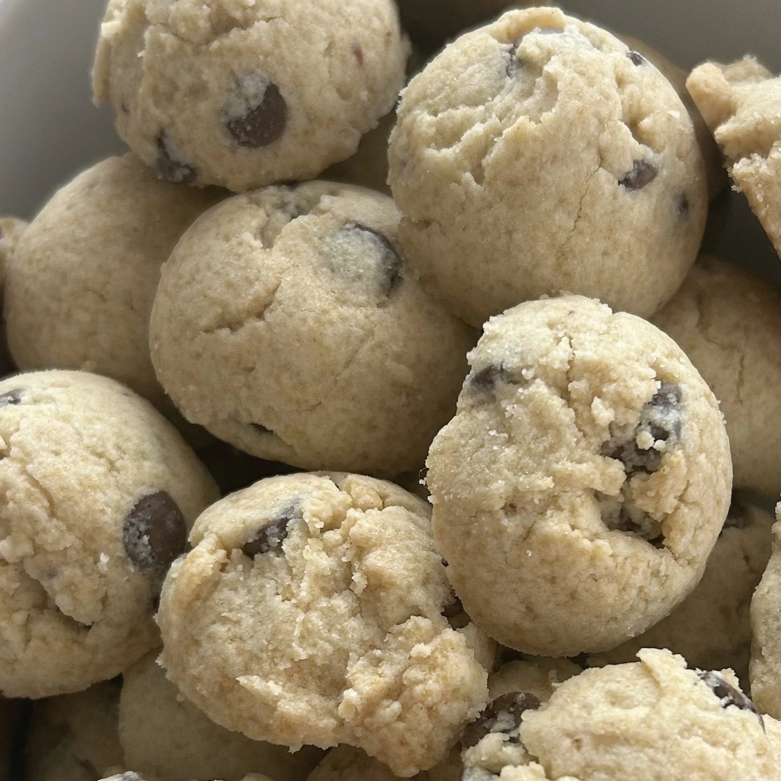 THE CAROB CHIPPY [THE COOL KID NO ONE SAW COMING]